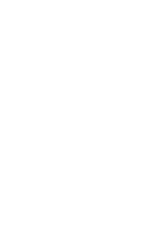 escudo ayuntamiento almaden de la plata